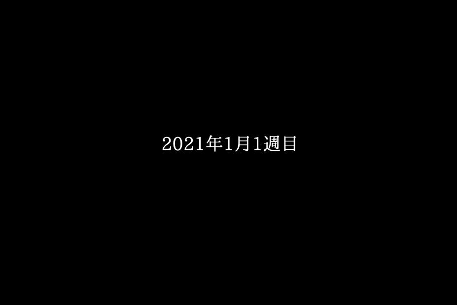 日記:2021年1月1週目