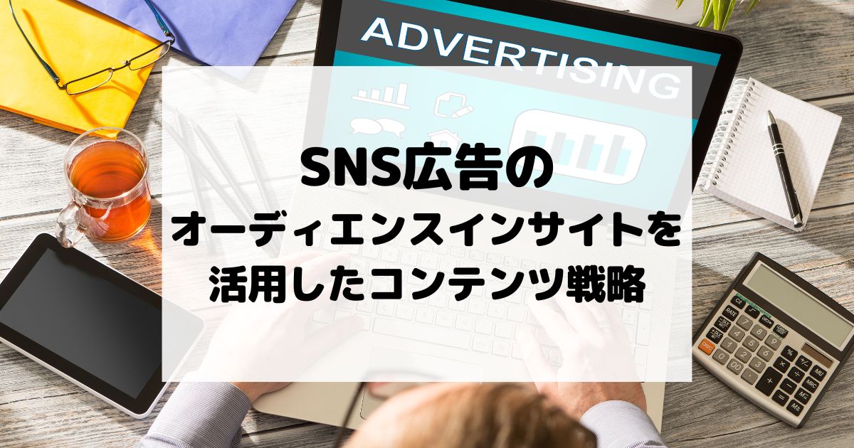 SNS広告のオーディエンスインサイトを活用したコンテンツ戦略